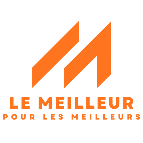 Blender Moulinex 450W + Hachoir